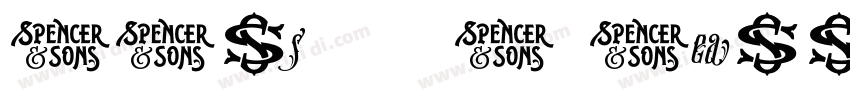 SWis57218T Heawy字体转换
